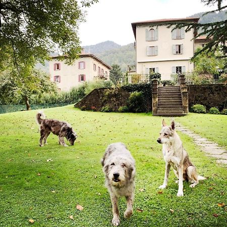 Alpe Del Lupo Hotel San Fedele Intelvi Zewnętrze zdjęcie