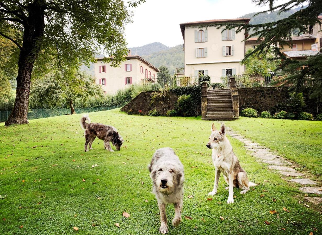 Alpe Del Lupo Hotel San Fedele Intelvi Zewnętrze zdjęcie